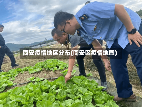 同安疫情地区分布(同安区疫情地图)