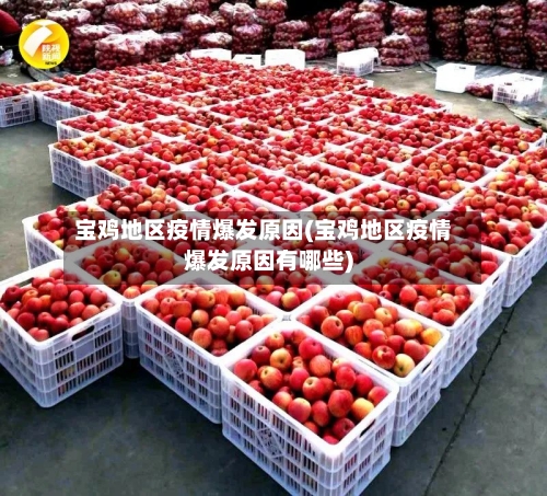 宝鸡地区疫情爆发原因(宝鸡地区疫情爆发原因有哪些)