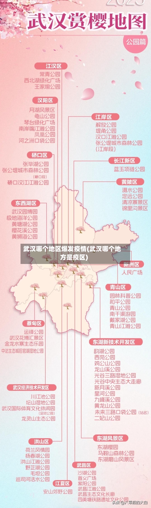 武汉哪个地区爆发疫情(武汉哪个地方是疫区)