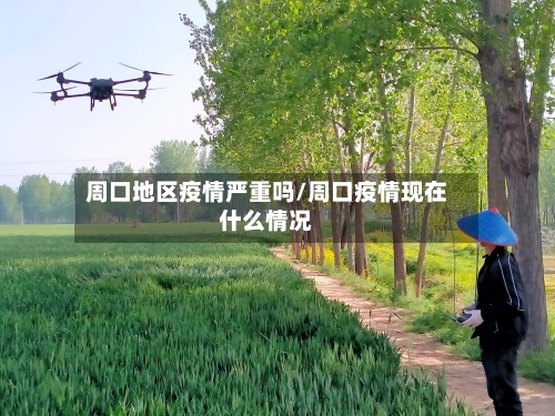 周口地区疫情严重吗/周口疫情现在什么情况-第2张图片