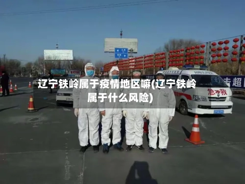 辽宁铁岭属于疫情地区嘛(辽宁铁岭属于什么风险)