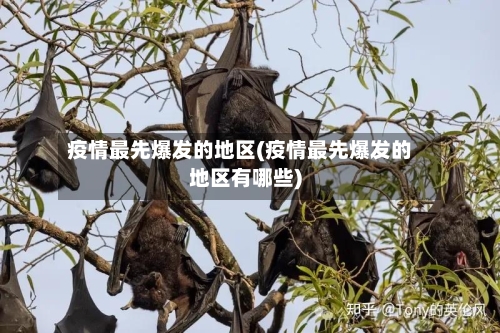 疫情最先爆发的地区(疫情最先爆发的地区有哪些)-第3张图片