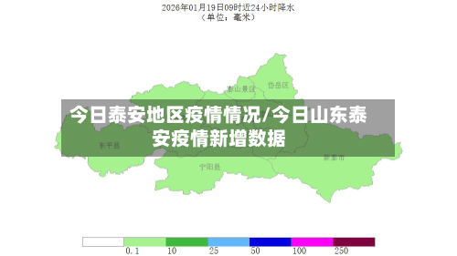 今日泰安地区疫情情况/今日山东泰安疫情新增数据-第3张图片