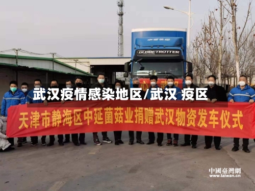 武汉疫情感染地区/武汉 疫区