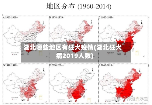 湖北哪些地区有狂犬疫情(湖北狂犬病2019人数)