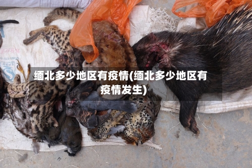 缅北多少地区有疫情(缅北多少地区有疫情发生)