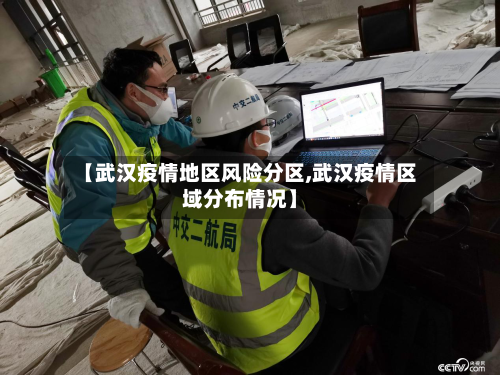 【武汉疫情地区风险分区,武汉疫情区域分布情况】