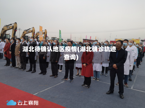湖北待确认地区疫情(湖北确诊轨迹查询)