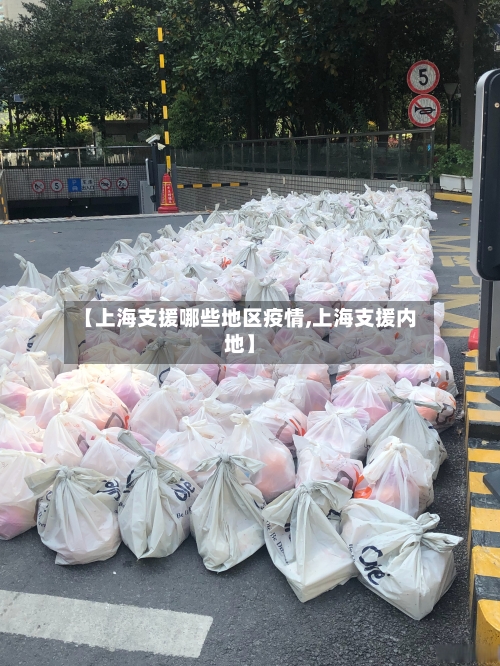 【上海支援哪些地区疫情,上海支援内地】