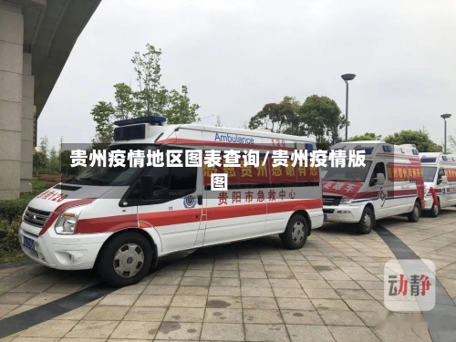 贵州疫情地区图表查询/贵州疫情版图-第2张图片