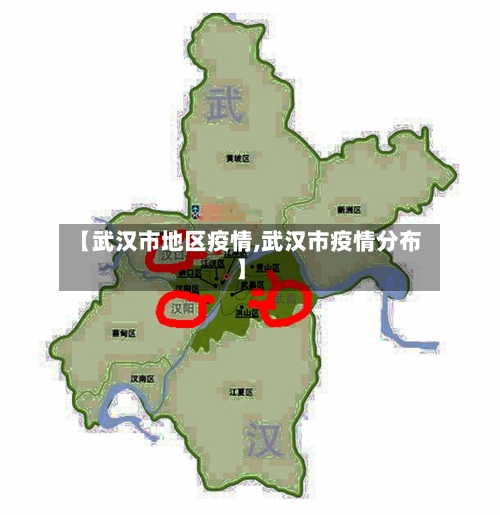 【武汉市地区疫情,武汉市疫情分布】-第2张图片