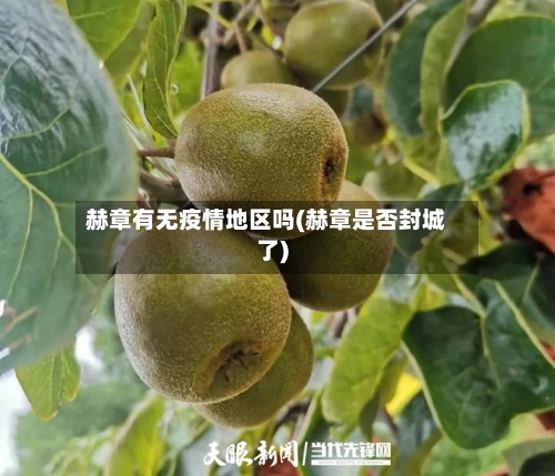 赫章有无疫情地区吗(赫章是否封城了)-第3张图片