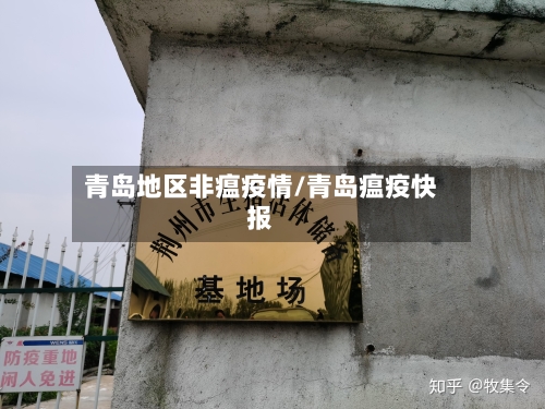 青岛地区非瘟疫情/青岛瘟疫快报