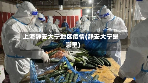 上海静安大宁地区疫情(静安大宁是哪里)