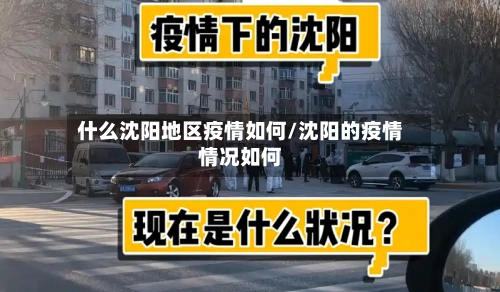 什么沈阳地区疫情如何/沈阳的疫情情况如何-第3张图片