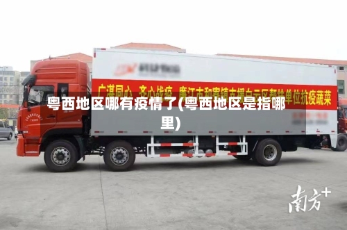 粤西地区哪有疫情了(粤西地区是指哪里)