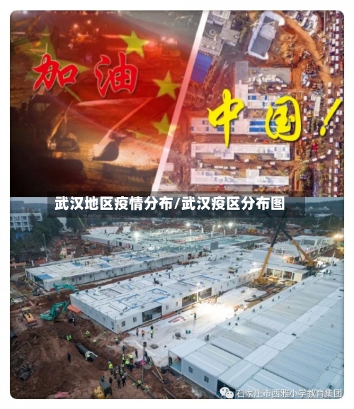 武汉地区疫情分布/武汉疫区分布图