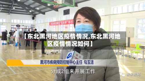 【东北黑河地区疫情情况,东北黑河地区疫情情况如何】