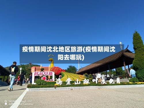 疫情期间沈北地区旅游(疫情期间沈阳去哪玩)