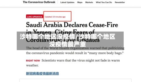沙特哪个地区没疫情/沙特哪个地区没疫情最严重-第2张图片