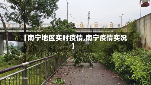 【南宁地区实时疫情,南宁疫情实况】-第2张图片
