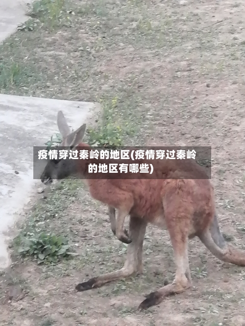 疫情穿过秦岭的地区(疫情穿过秦岭的地区有哪些)