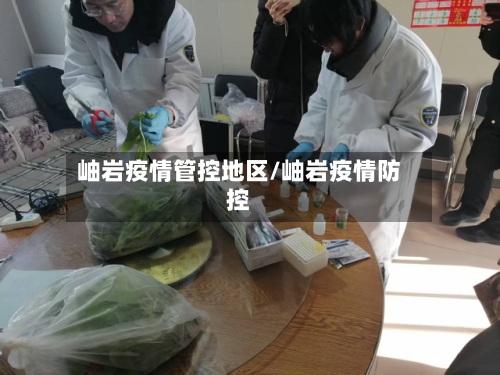 岫岩疫情管控地区/岫岩疫情防控