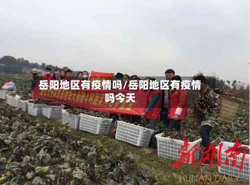 岳阳地区有疫情吗/岳阳地区有疫情吗今天