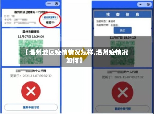 【温州地区疫情情况怎样,温州疫情况如何】-第3张图片