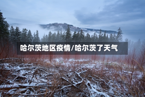 哈尔茨地区疫情/哈尔茨了天气-第3张图片