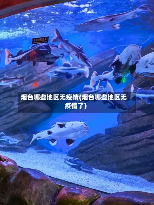 烟台哪些地区无疫情(烟台哪些地区无疫情了)