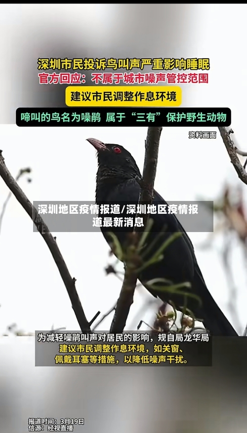 深圳地区疫情报道/深圳地区疫情报道最新消息