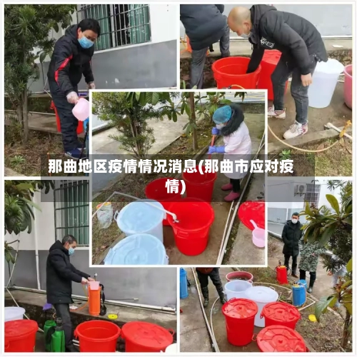 那曲地区疫情情况消息(那曲市应对疫情)-第2张图片