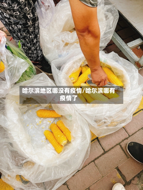 哈尔滨地区哪没有疫情/哈尔滨哪有疫情了