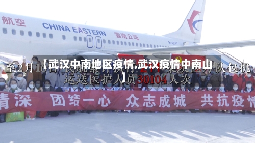 【武汉中南地区疫情,武汉疫情中南山】-第2张图片
