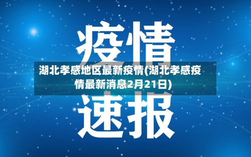 湖北孝感地区最新疫情(湖北孝感疫情最新消息2月21日)-第3张图片