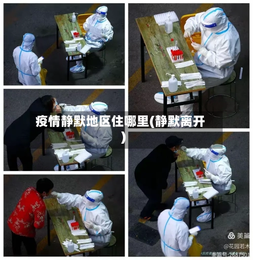 疫情静默地区住哪里(静默离开)-第3张图片