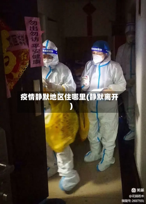 疫情静默地区住哪里(静默离开)-第2张图片