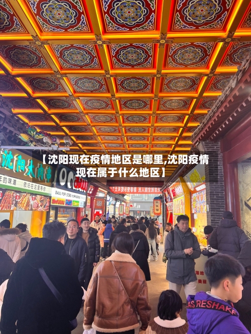 【沈阳现在疫情地区是哪里,沈阳疫情现在属于什么地区】-第2张图片