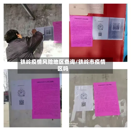 铁岭疫情风险地区查询/铁岭市疫情区吗-第2张图片