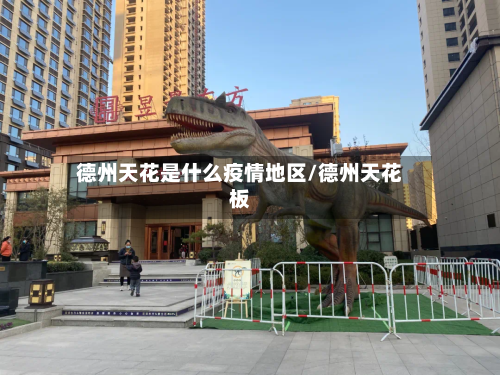 德州天花是什么疫情地区/德州天花板-第3张图片