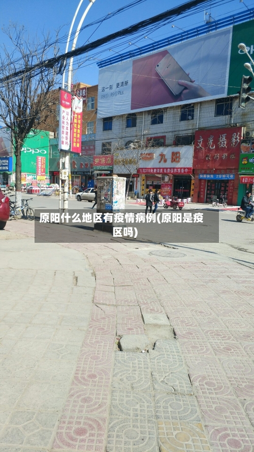 原阳什么地区有疫情病例(原阳是疫区吗)-第2张图片