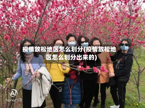 疫情放松地区怎么划分(疫情放松地区怎么划分出来的)-第2张图片