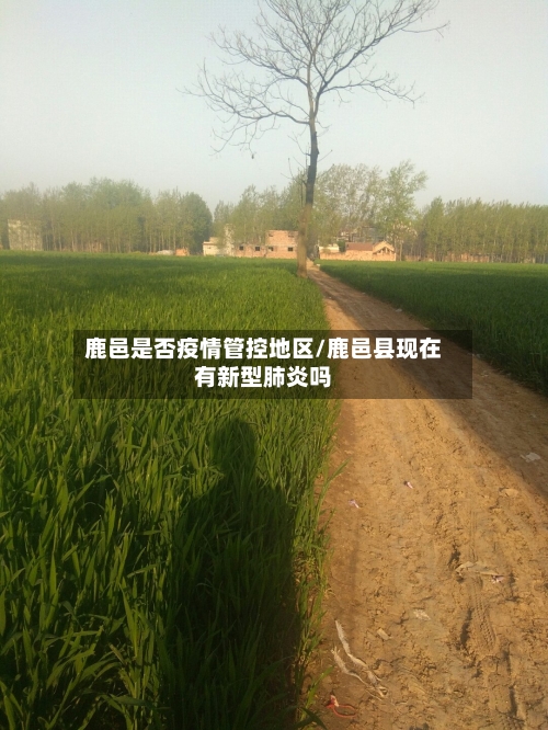 鹿邑是否疫情管控地区/鹿邑县现在有新型肺炎吗
