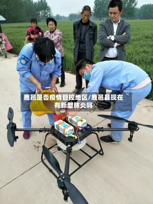 鹿邑是否疫情管控地区/鹿邑县现在有新型肺炎吗-第2张图片
