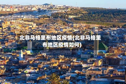 北非马格里布地区疫情(北非马格里布地区疫情如何)-第3张图片