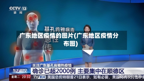 广东地区疫情的图片(广东地区疫情分布图)