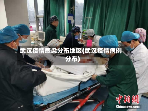 武汉疫情感染分布地区(武汉疫情病例分布)-第3张图片