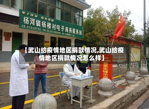 【武山给疫情地区捐款情况,武山给疫情地区捐款情况怎么样】