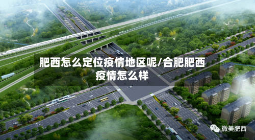 肥西怎么定位疫情地区呢/合肥肥西疫情怎么样-第3张图片